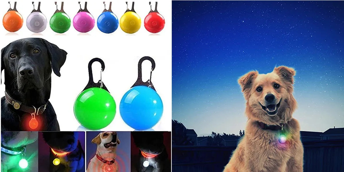 Collar luminoso recargable USB...