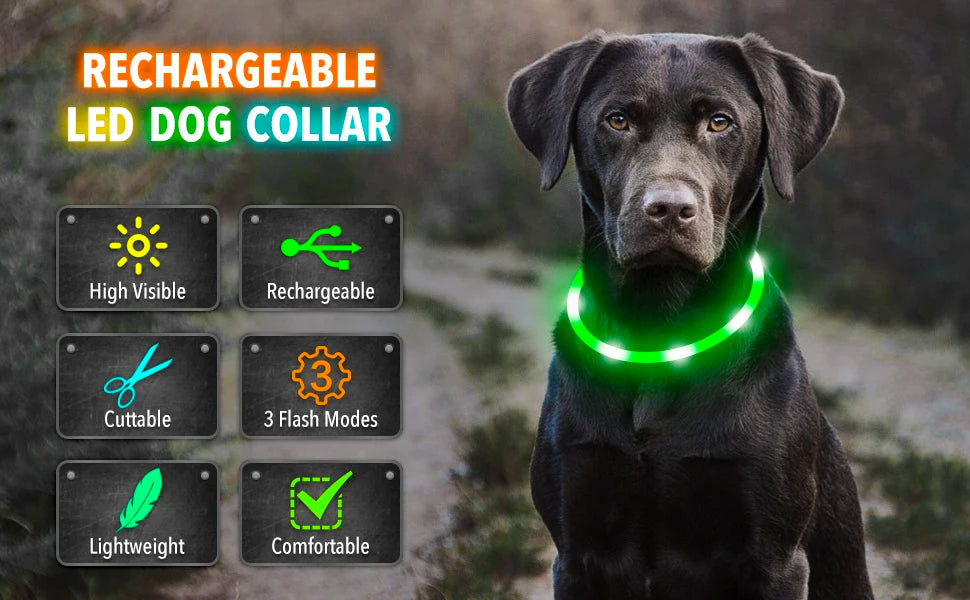 Collar luminoso recargable USB...