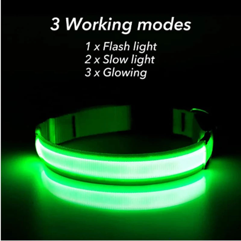 Collar luminoso recargable USB...