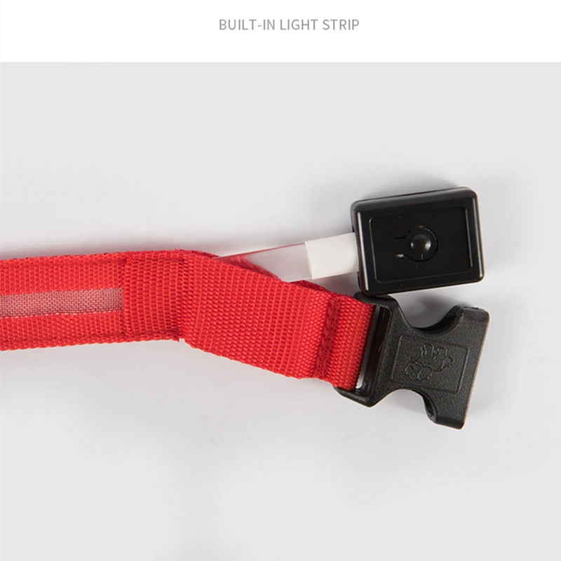 Collar luminoso recargable USB...