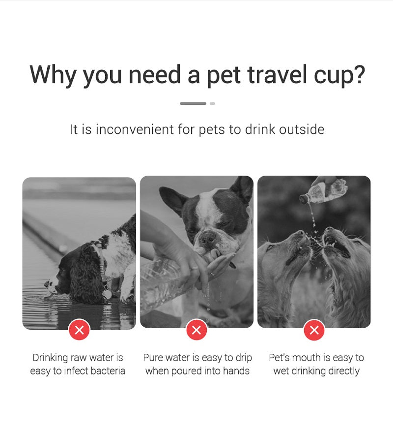 Bebedero Portátil Antiderrames para Perros y Gatos.