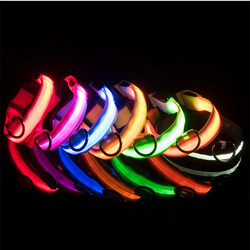 Collar luminoso recargable USB...