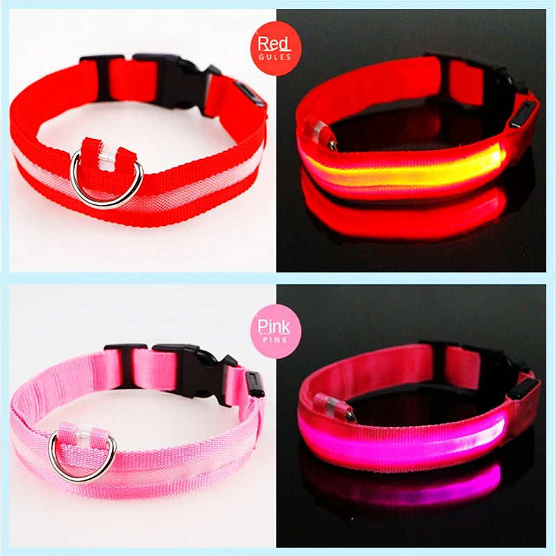 Collar luminoso recargable USB...
