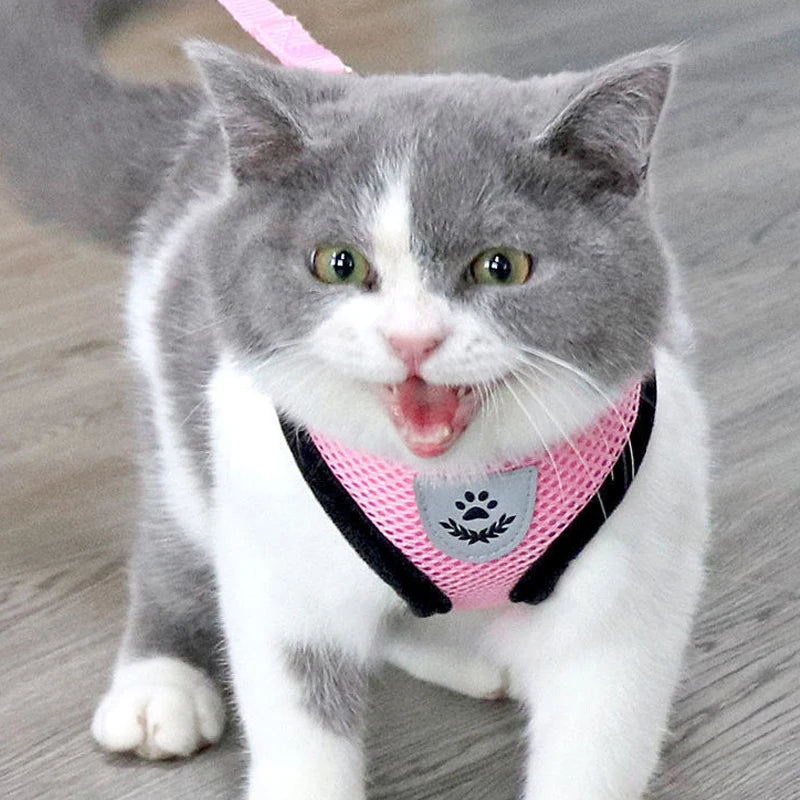 Arnes de verano para perros y gatos...