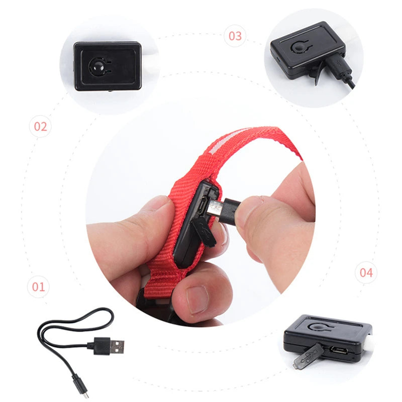 Collar luminoso recargable USB...