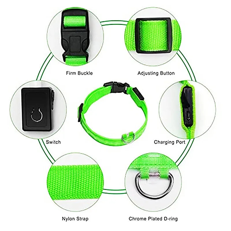 Collar luminoso recargable USB...