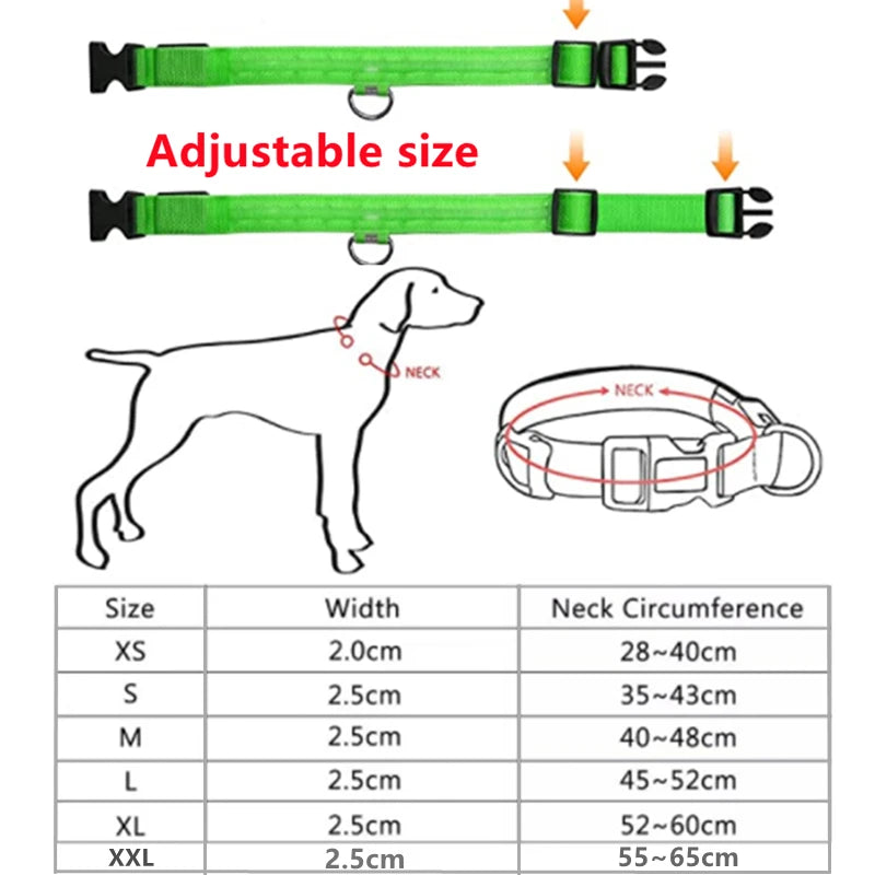 Collar luminoso recargable USB...