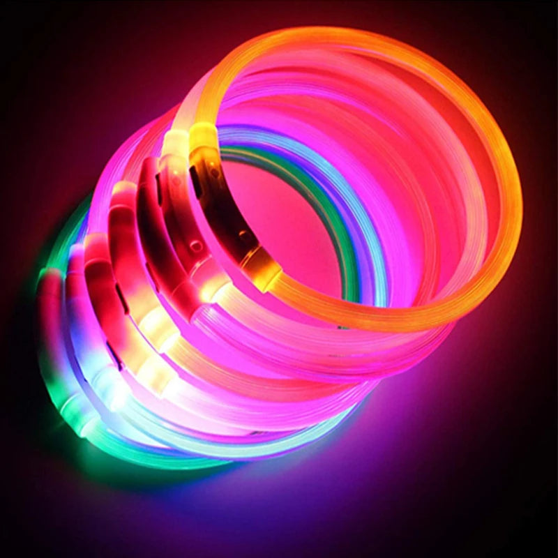Collar luminoso recargable USB...