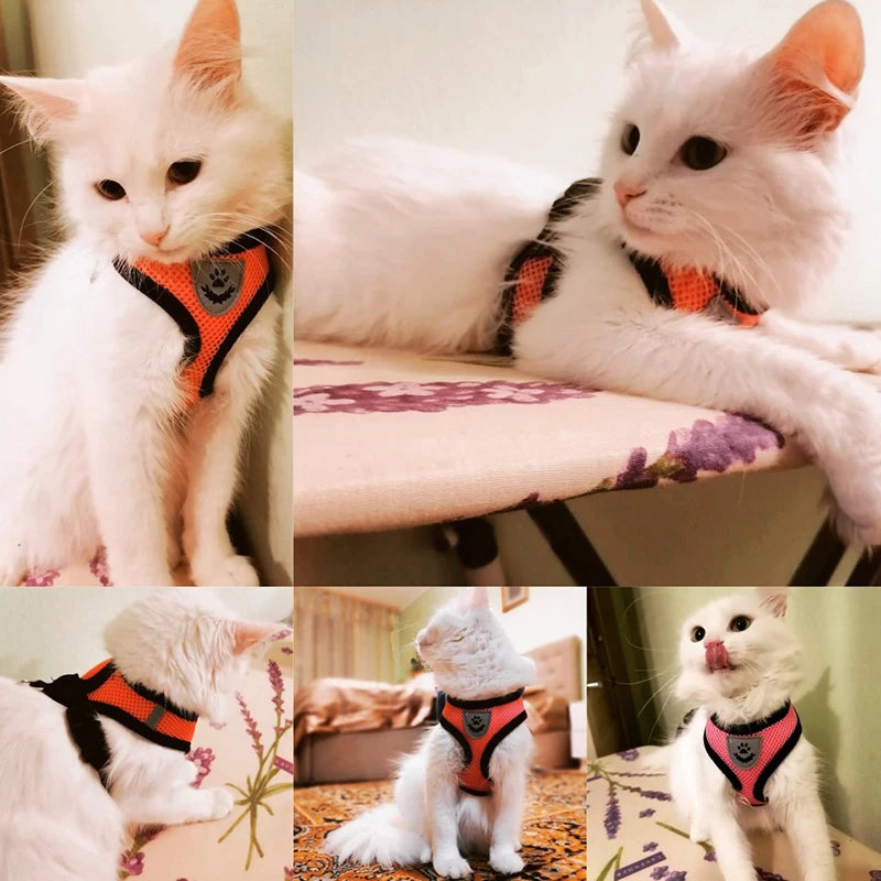 Arnes de verano para perros y gatos...