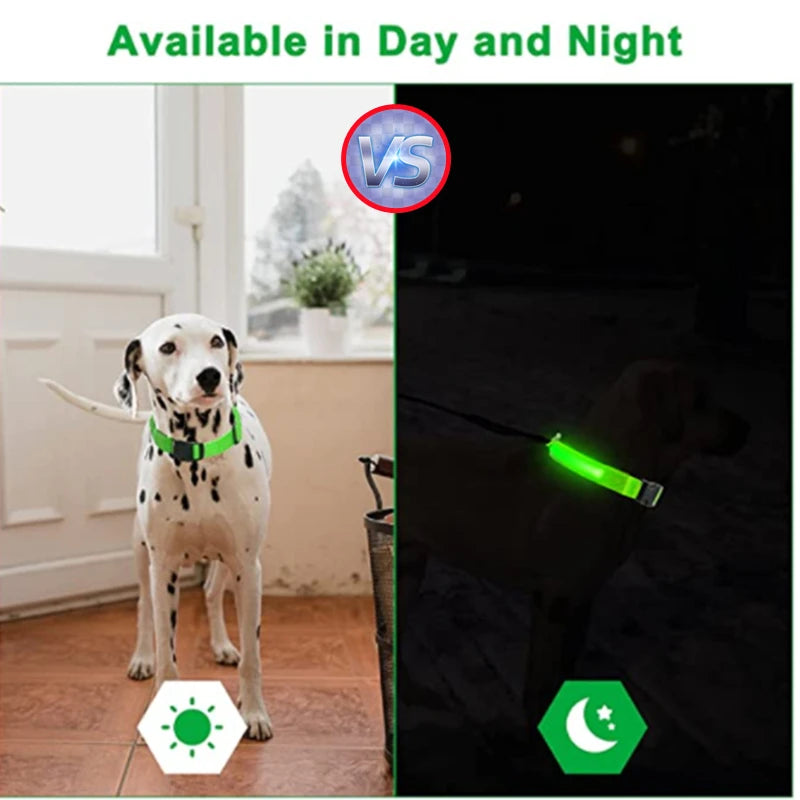 Collar luminoso recargable USB...