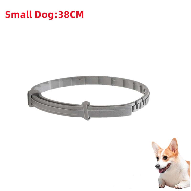 Collar Antipulgas y Garrapatas para Mascotas (8 Meses) - DarExpress™