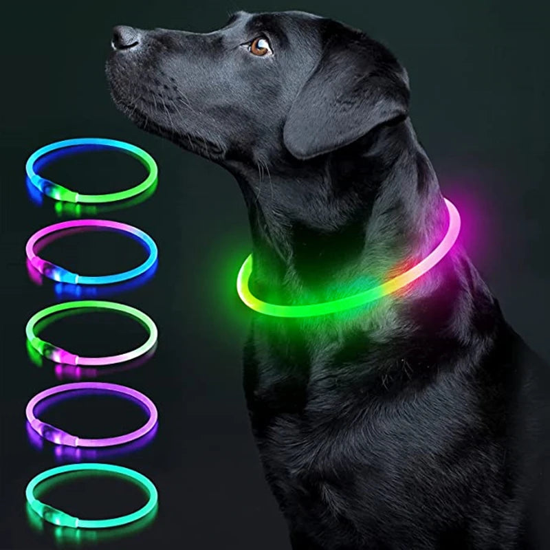 Collar luminoso recargable USB...