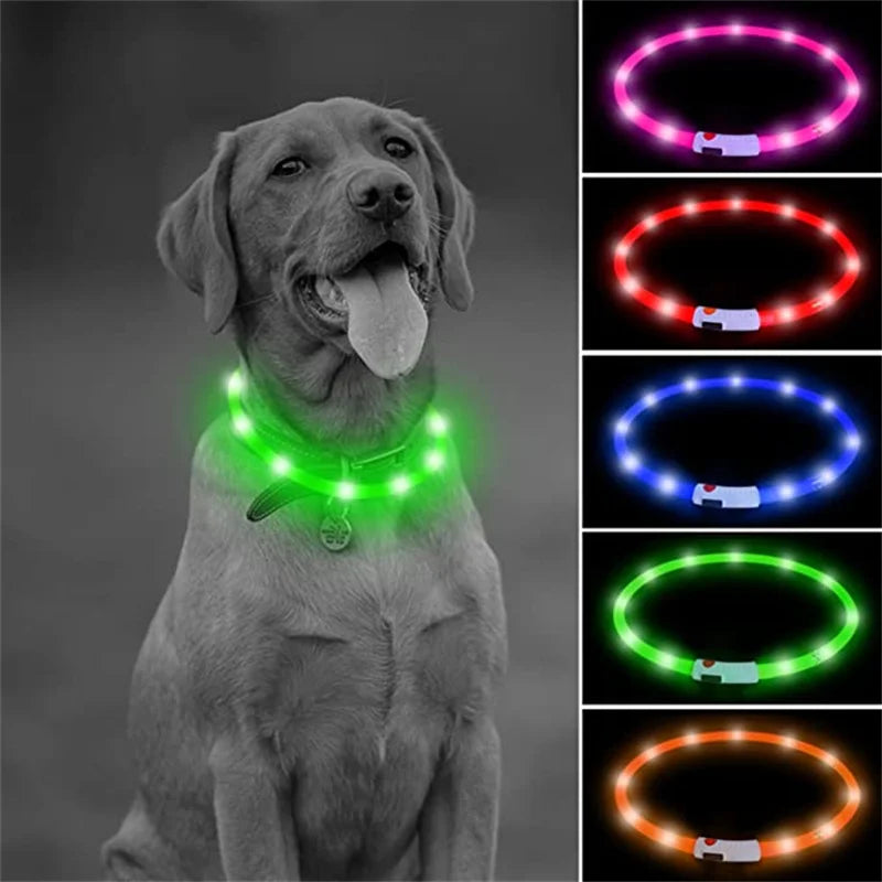Collar luminoso recargable USB...