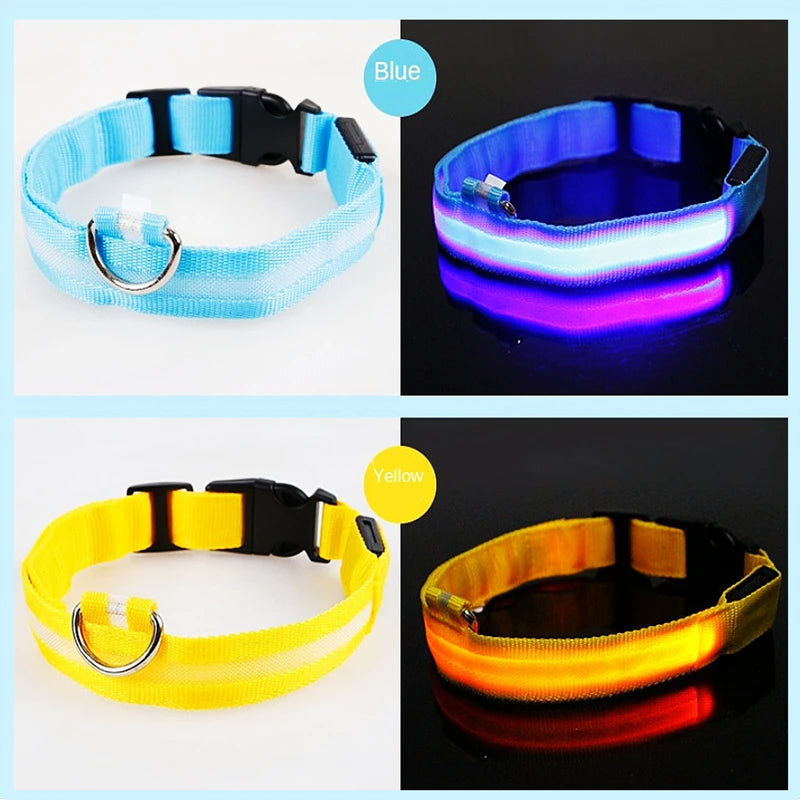 Collar luminoso recargable USB...