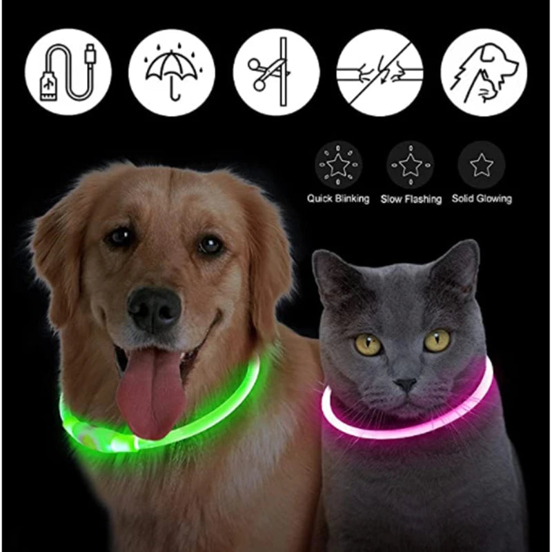 Collar luminoso recargable USB...