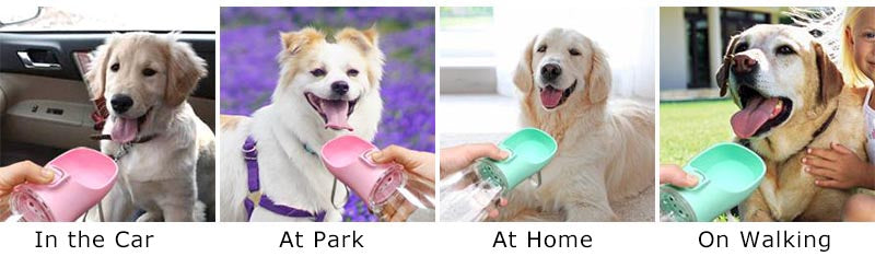 Bebedero Portátil Antiderrames para Perros y Gatos.