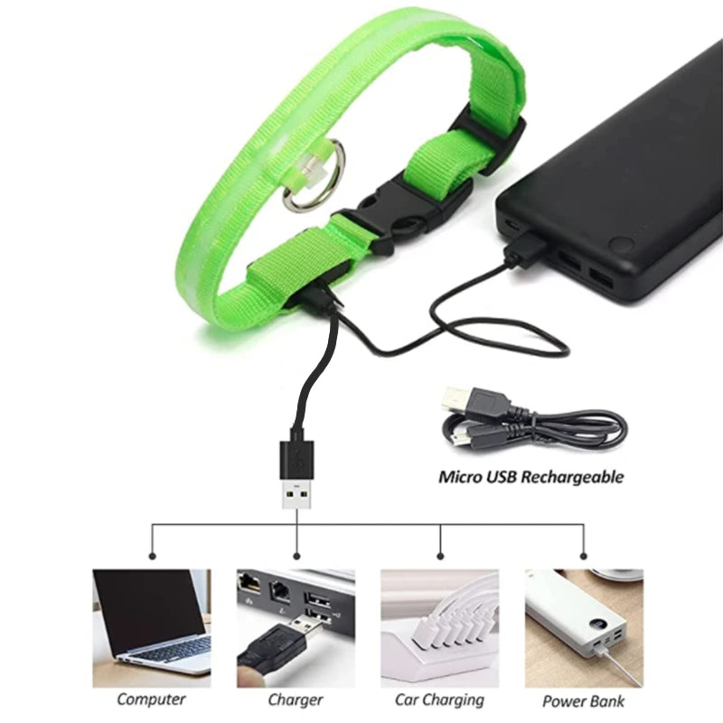 Collar luminoso recargable USB...