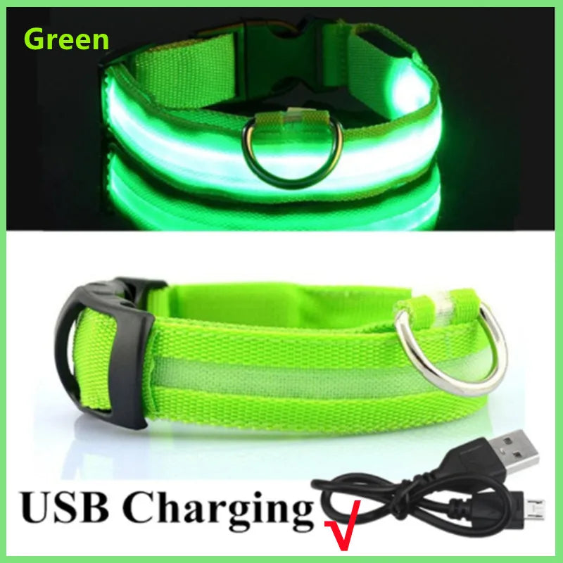Collar luminoso recargable USB...