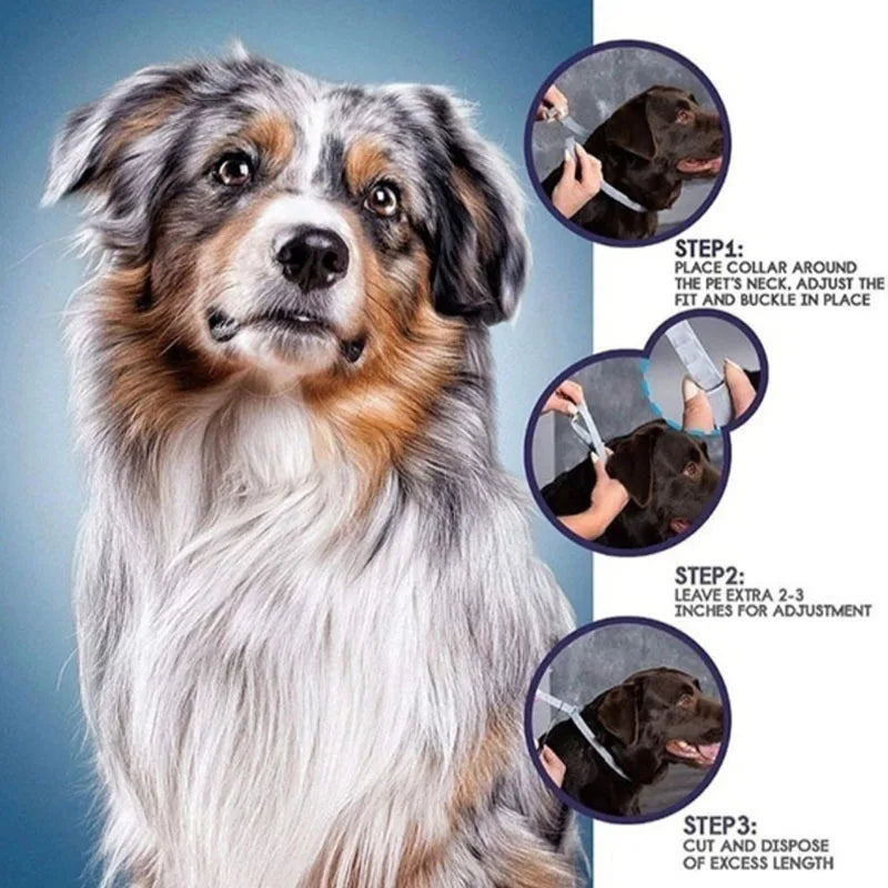 Collar Antipulgas y Garrapatas para Mascotas (8 Meses) - DarExpress™