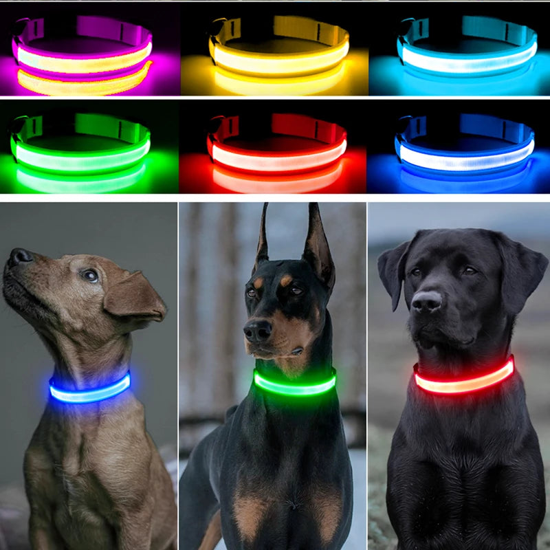 Collar luminoso recargable USB...