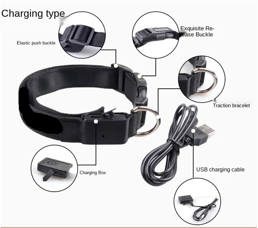 Collar luminoso recargable USB...