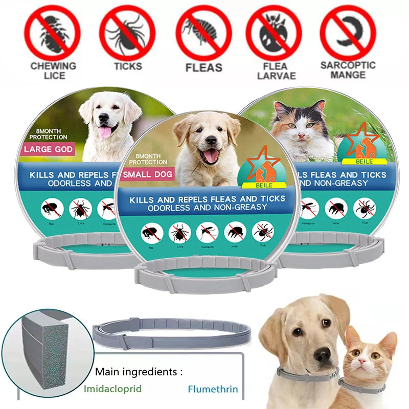 Collar Antipulgas y Garrapatas para Mascotas (8 Meses) - DarExpress™