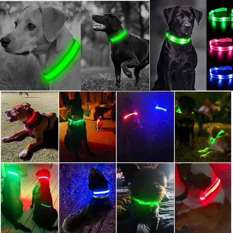 Collar luminoso recargable USB...