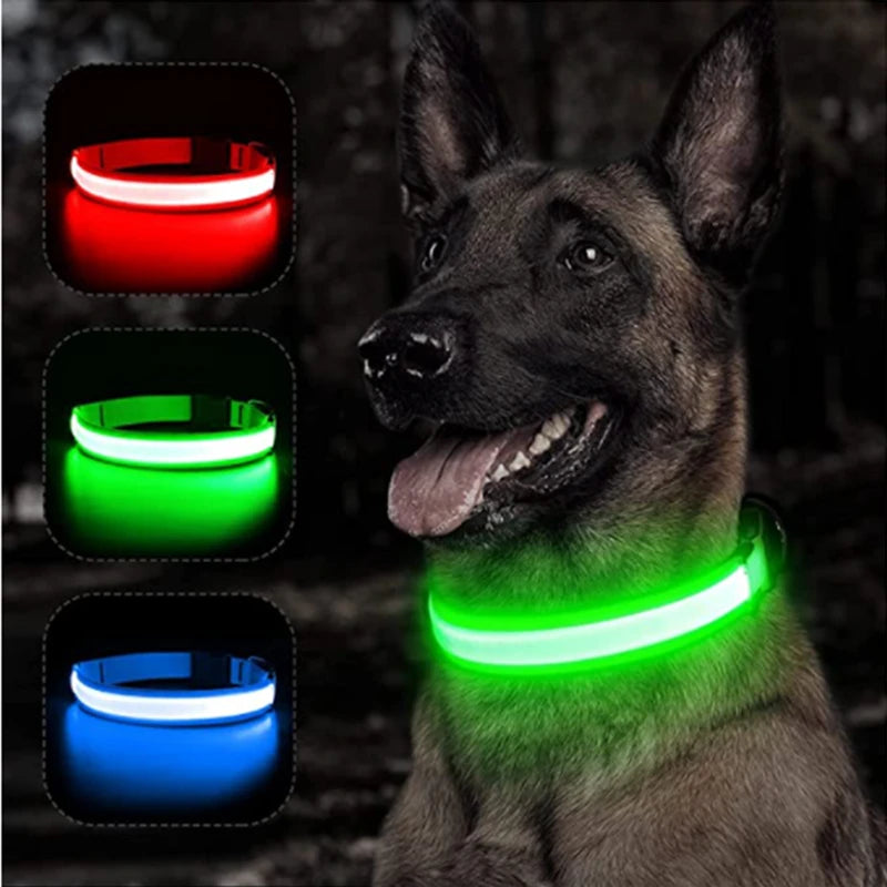 Collar luminoso recargable USB...