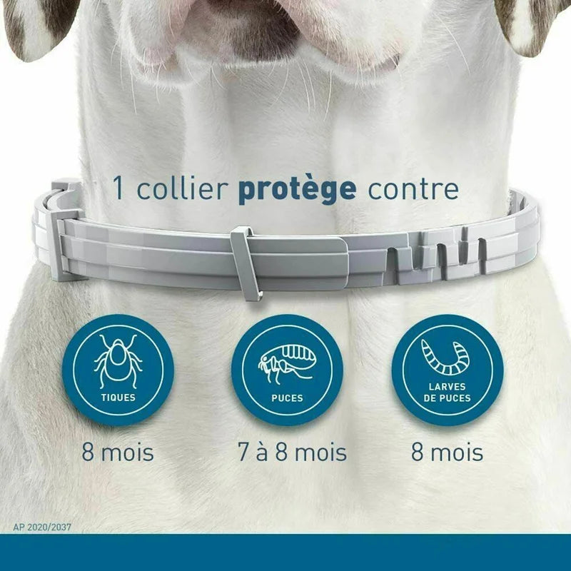 Collar Antipulgas y Garrapatas para Mascotas (8 Meses) - DarExpress™