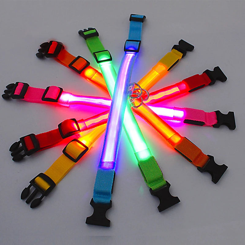Collar luminoso recargable USB...