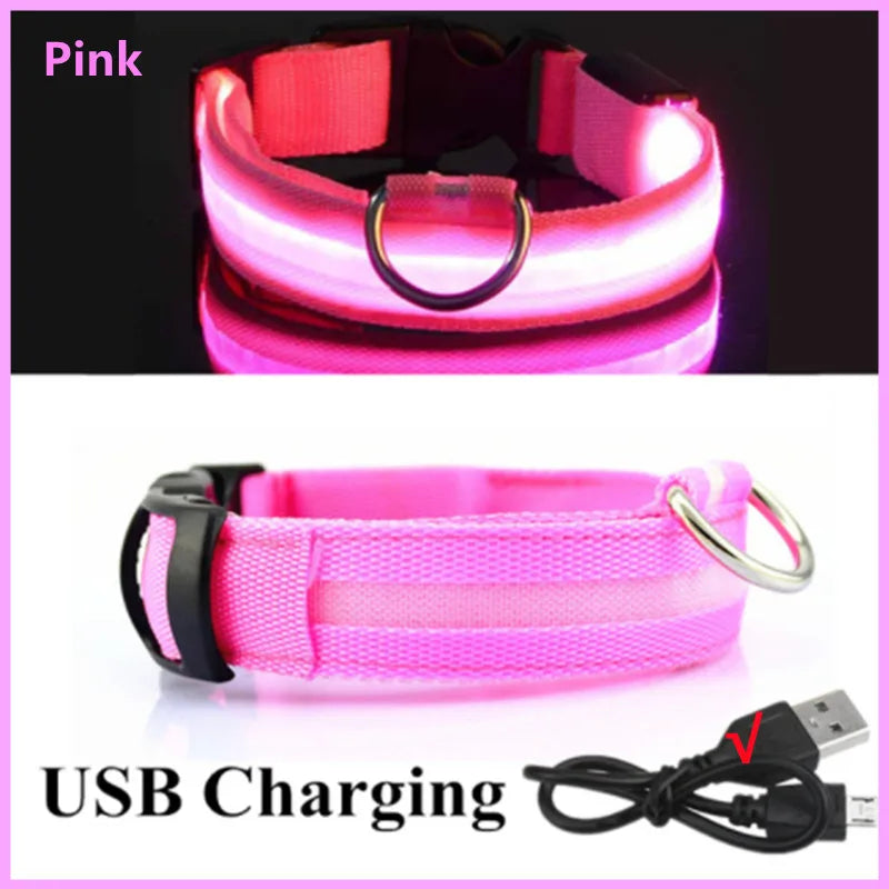Collar luminoso recargable USB...