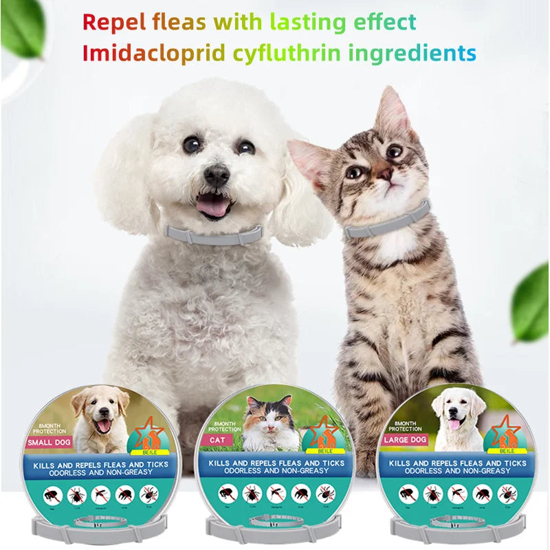 Collar Antipulgas y Garrapatas para Mascotas (8 Meses) - DarExpress™