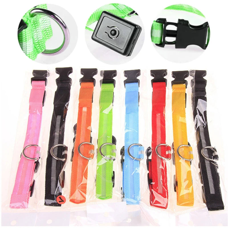 Collar luminoso recargable USB...