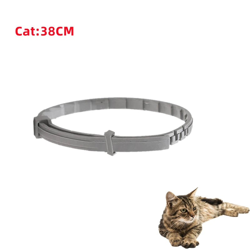 Collar Antipulgas y Garrapatas para Mascotas (8 Meses) - DarExpress™
