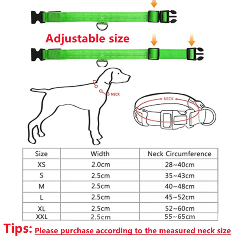 Collar luminoso recargable USB...