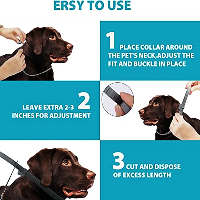 Collar Antipulgas y Garrapatas para Mascotas (8 Meses) - DarExpress™