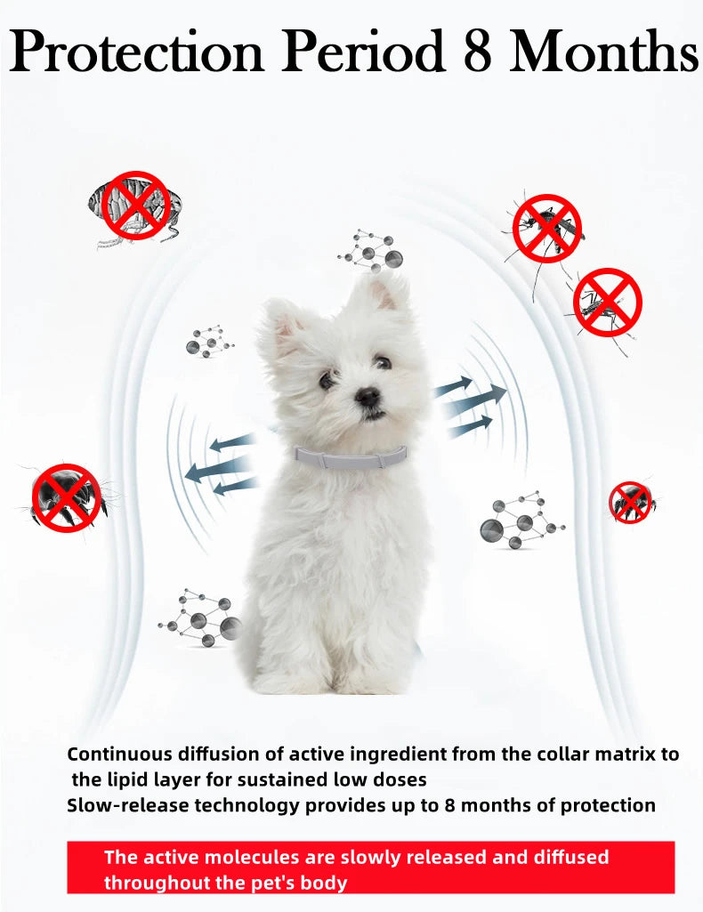 Collar Antipulgas y Garrapatas para Mascotas (8 Meses) - DarExpress™