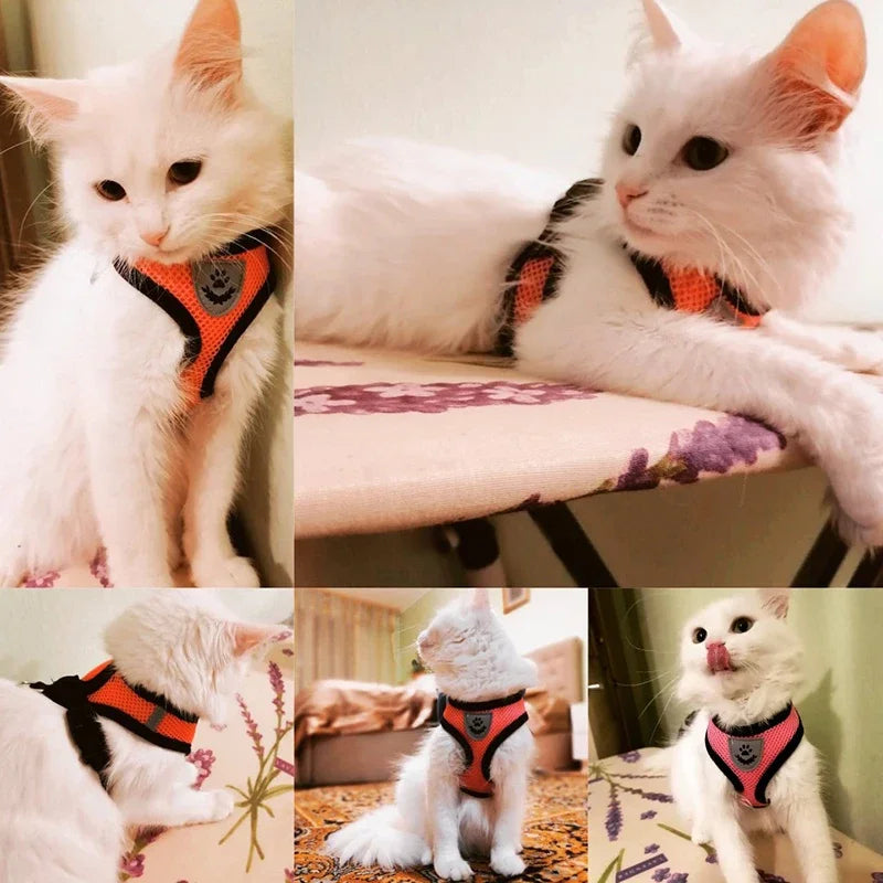 Arnes de verano para perros y gatos...