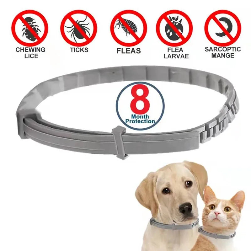 Collar Antipulgas y Garrapatas para Mascotas (8 Meses) - DarExpress™